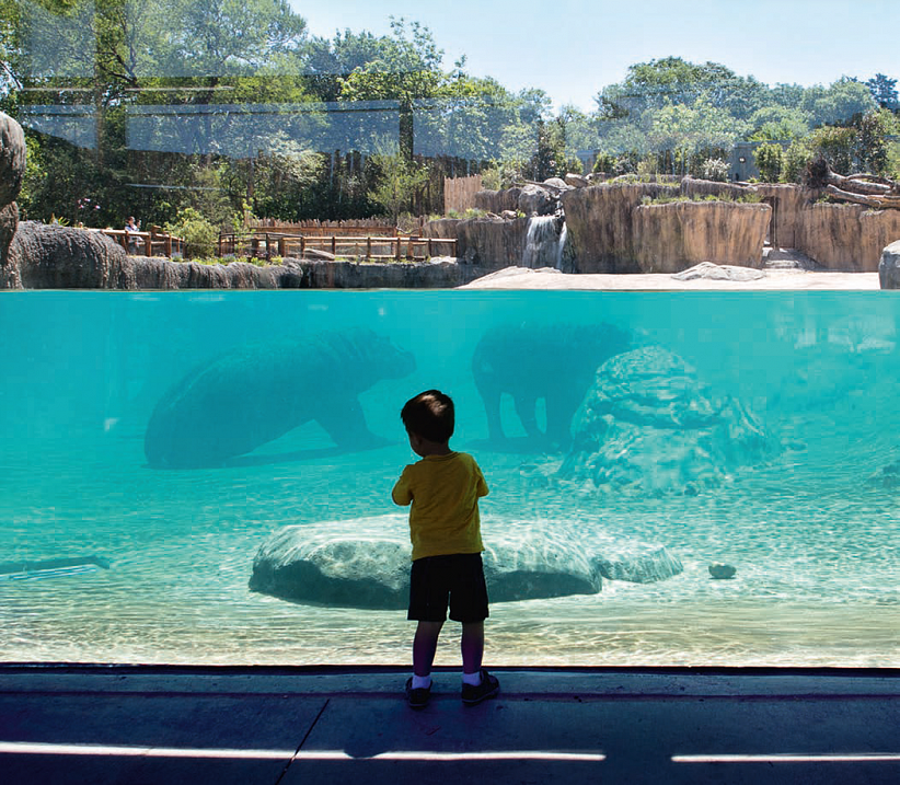 Z podkladů HT AG – Michal Talián